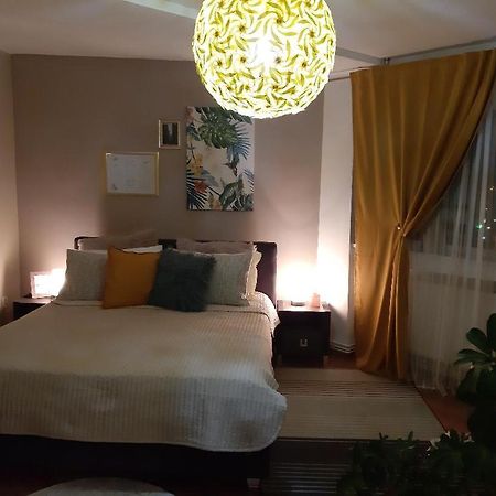 Alba House Διαμέρισμα Άλμπα Ιούλια Εξωτερικό φωτογραφία
